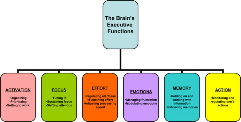 Classroom Tips Series - Executive Functioning - Kid Link Occupational ...